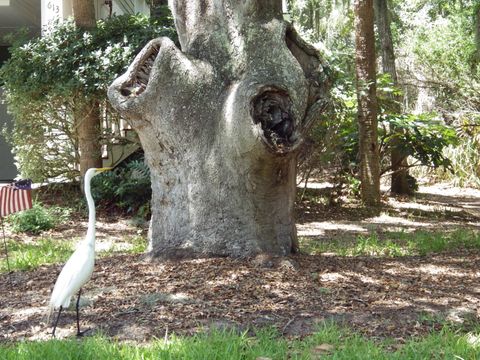 A home in Edisto Island