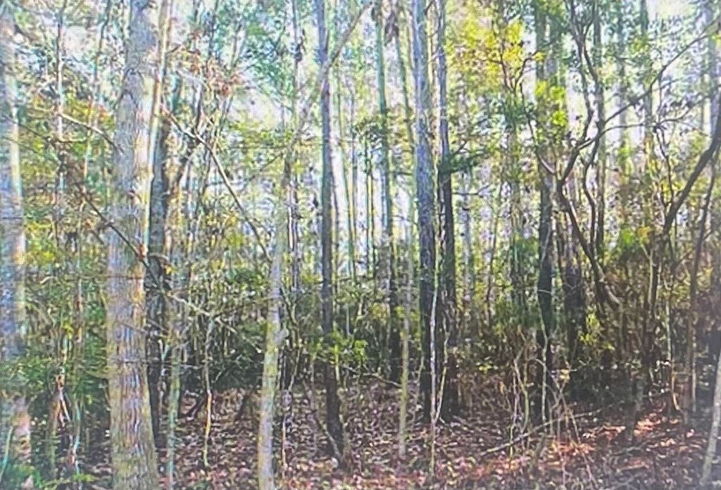 Photo of 00 James Weston Drive, Mount Pleasant, SC 29429 (MLS # 24006191)