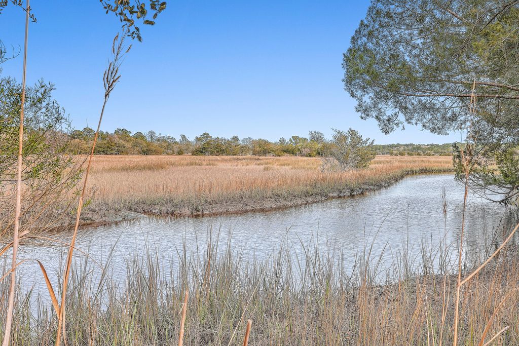 Photo of 550 Towles Crossing Drive, Johns Island, SC 29455 (MLS # 25019387)