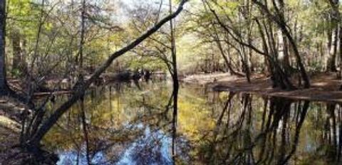 Photo of 0 Sandy Pines Road, Dorchester, SC 29437 (MLS # 25029485)