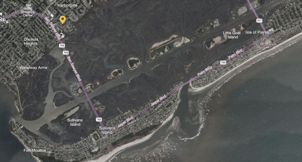 Photo of 1481 Center Street #1704, Mount Pleasant, SC 29464 (MLS # 25029525)