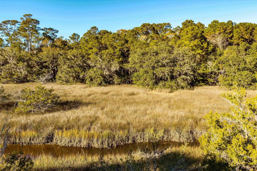 Photo of 4033 River Road, Johns Island, SC 29455 (MLS # 25032543)