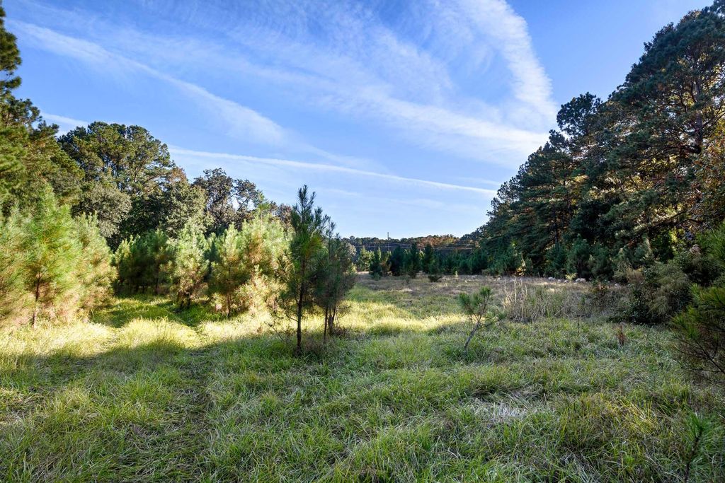 Photo of 2476 Joseph Pearline Road, Johns Island, SC 29455 (MLS # 26001794)