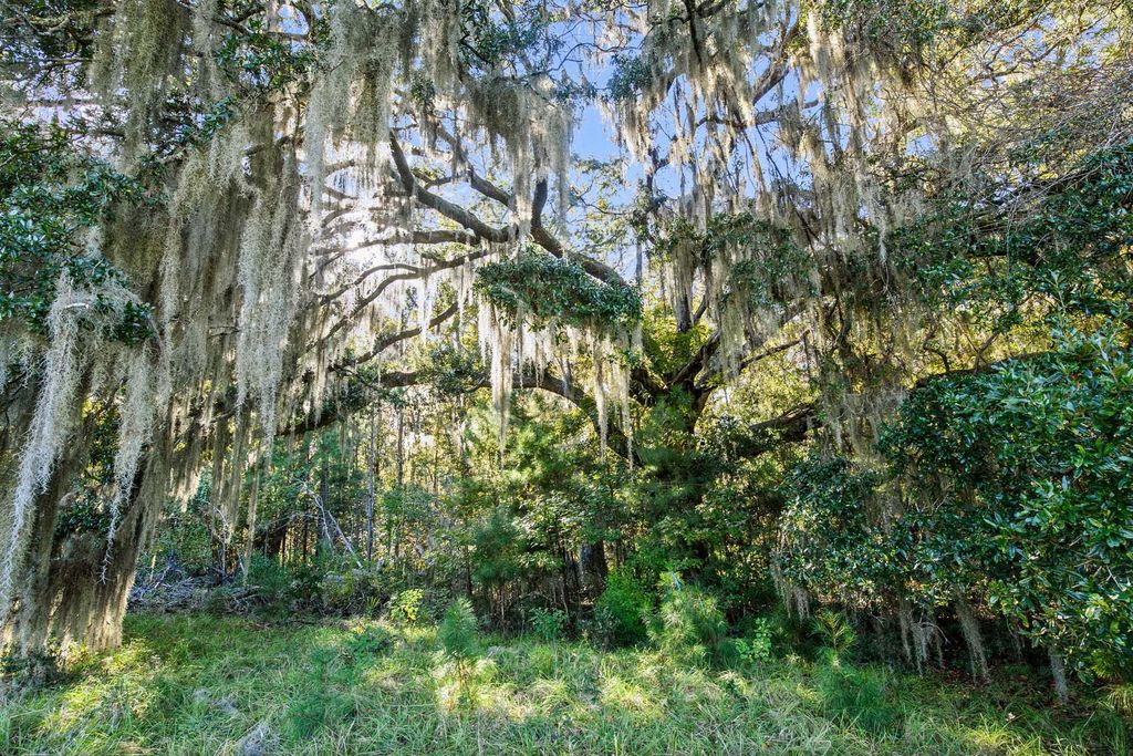 Photo of 2476 Joseph Pearline Road, Johns Island, SC 29455 (MLS # 26001794)