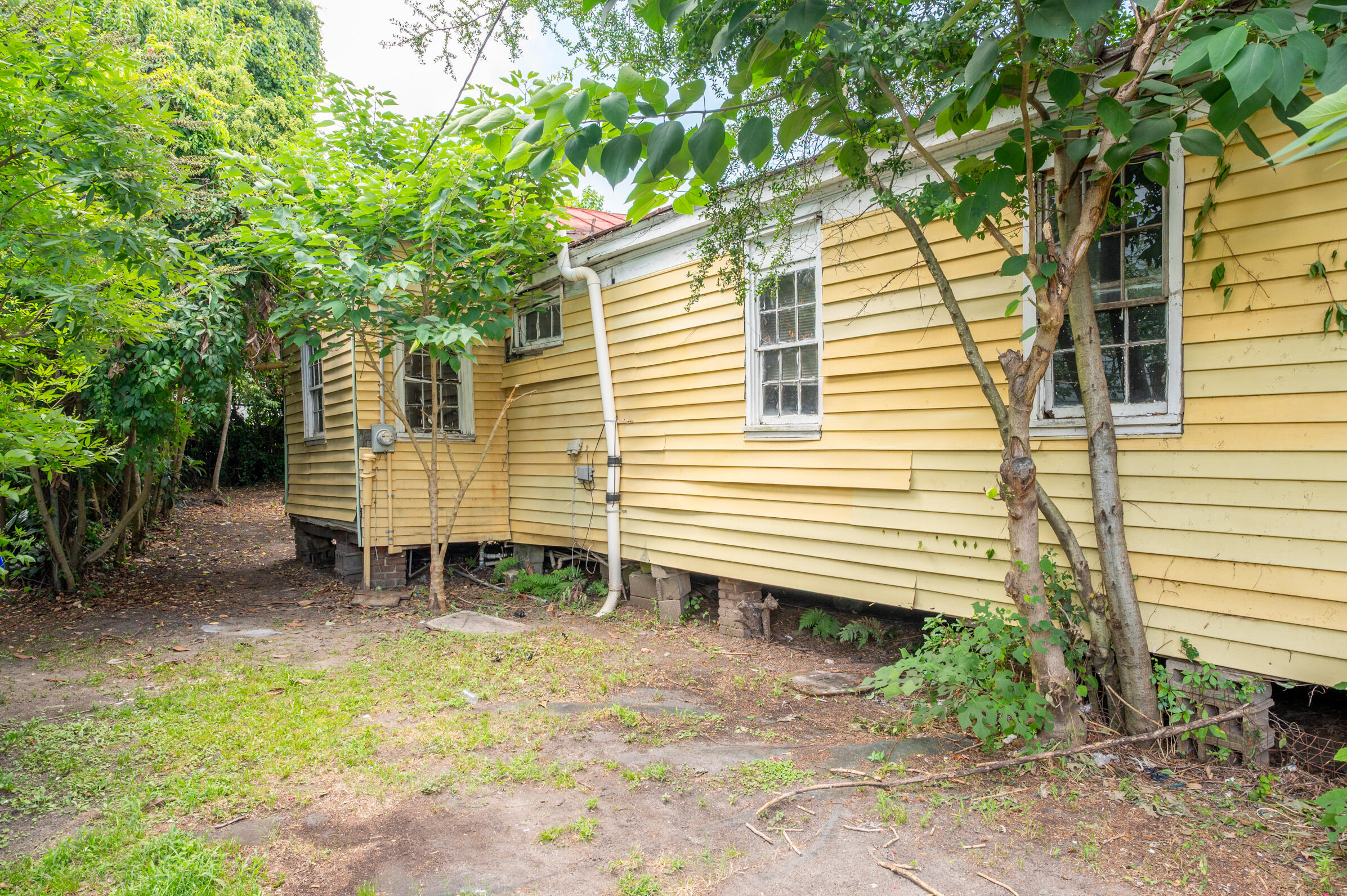 12 Poinsett Street