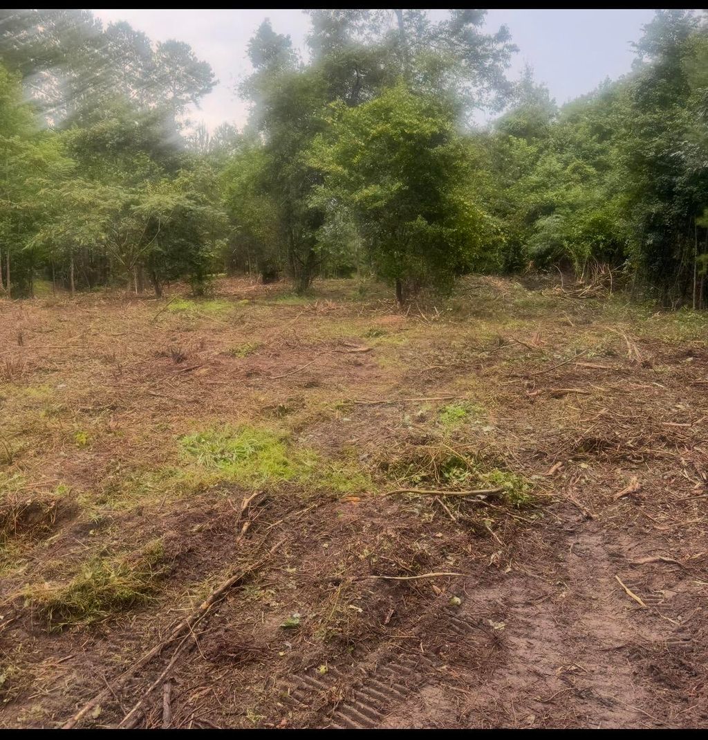 Photo of 1 Abandon Lane Lane, Summerville, SC 29486 (MLS # 26009588)