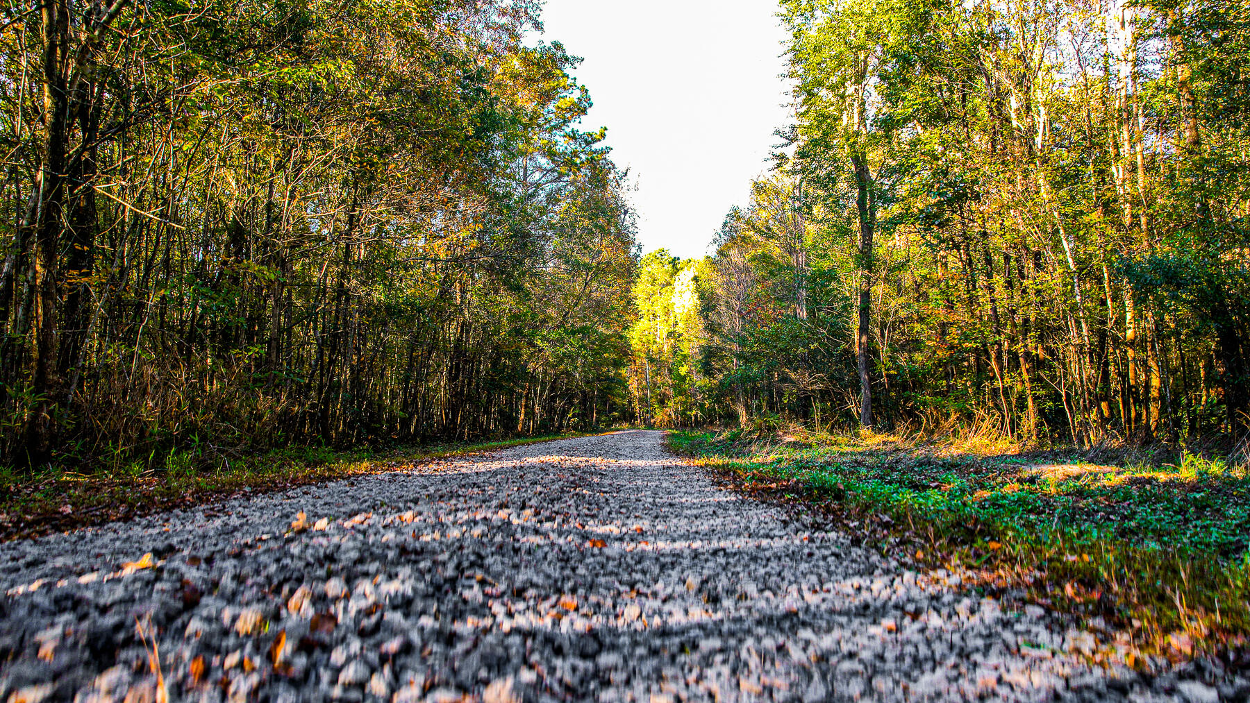 240 Groomsville Road