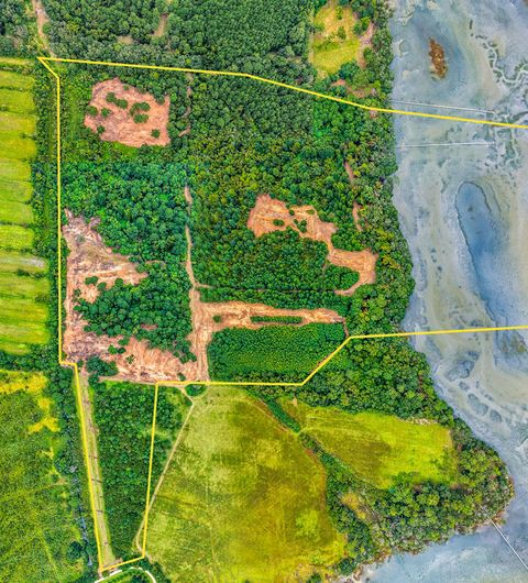 0 Back Forty Road Wadmalaw Island SC 29487