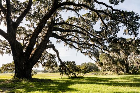 A home in Johns Island