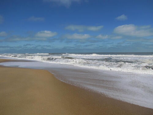 Photo of 7909 Edingsville Beach Road, Edisto Island, SC 29438 (MLS # 26027586)