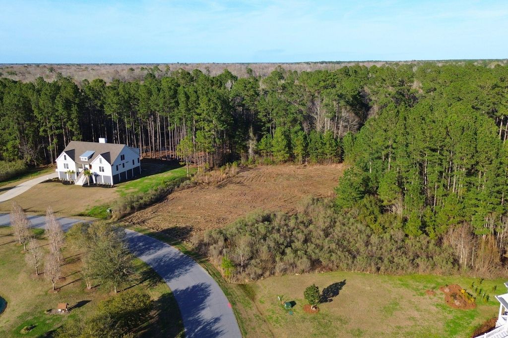 Photo of 1321 Wood Sorrel Drive, Moncks Corner, SC 29461 (MLS # 26006725)