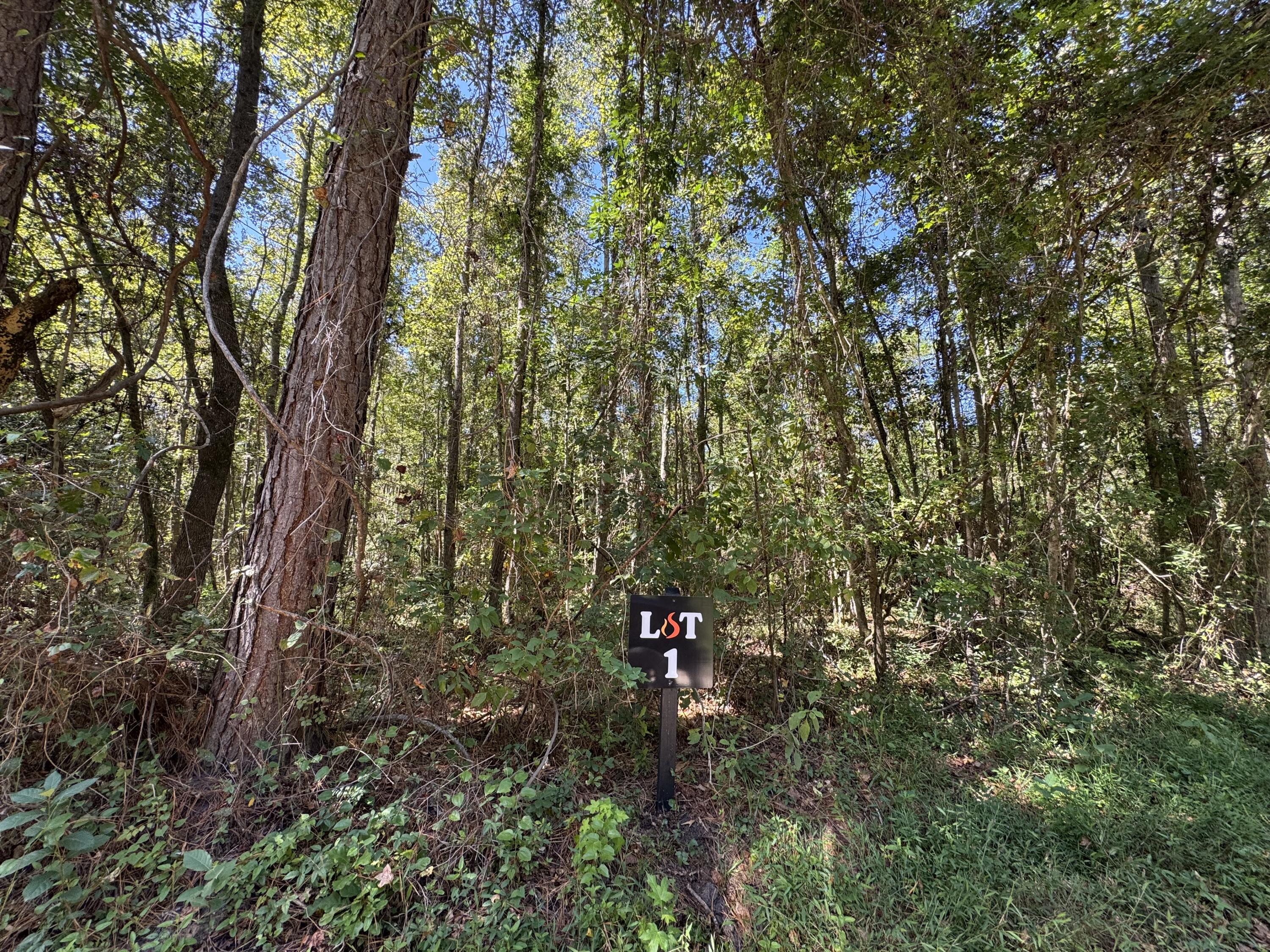 0 Clarks Hill Drive 1