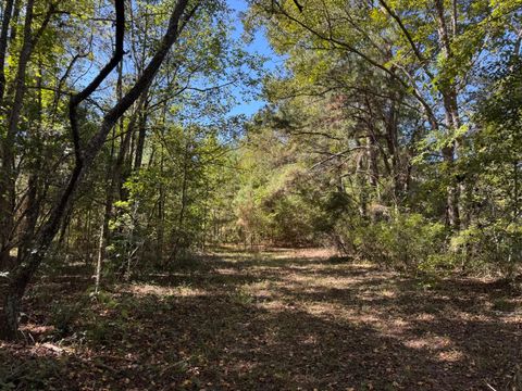 0 Clarks Hill Drive 1 Saint George SC 29477