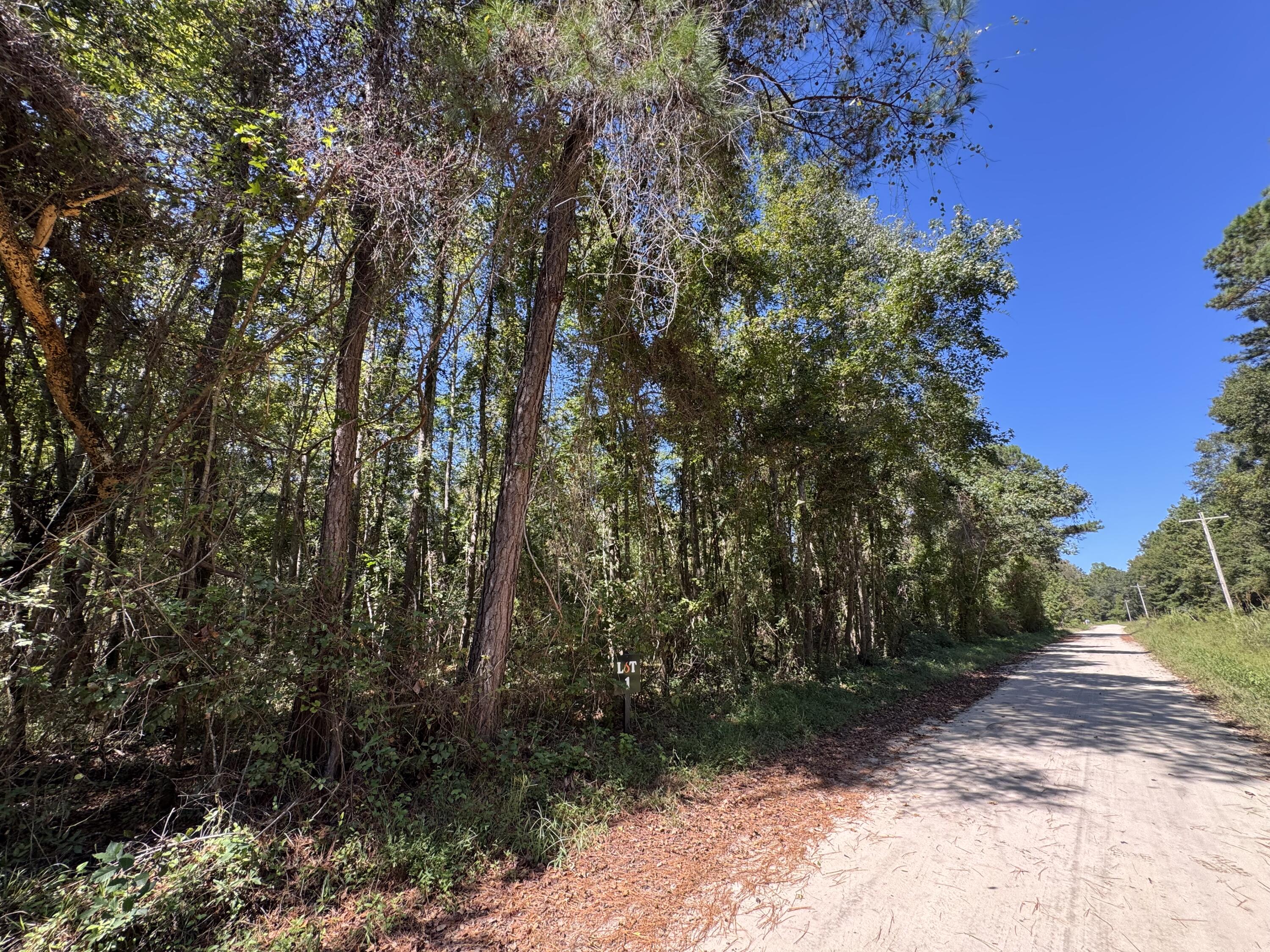 0 Clarks Hill Drive 1