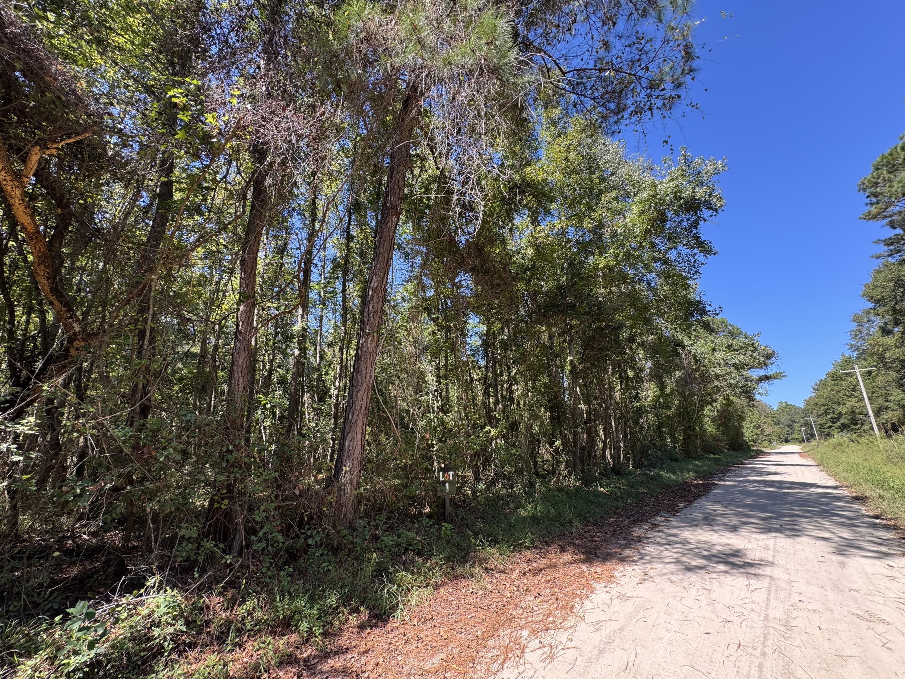 0 Clarks Hill Drive 1