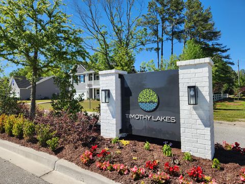 Photo of 154 Darby Meadow Lane, Ridgeville, SC 29472 (MLS # 25027472)