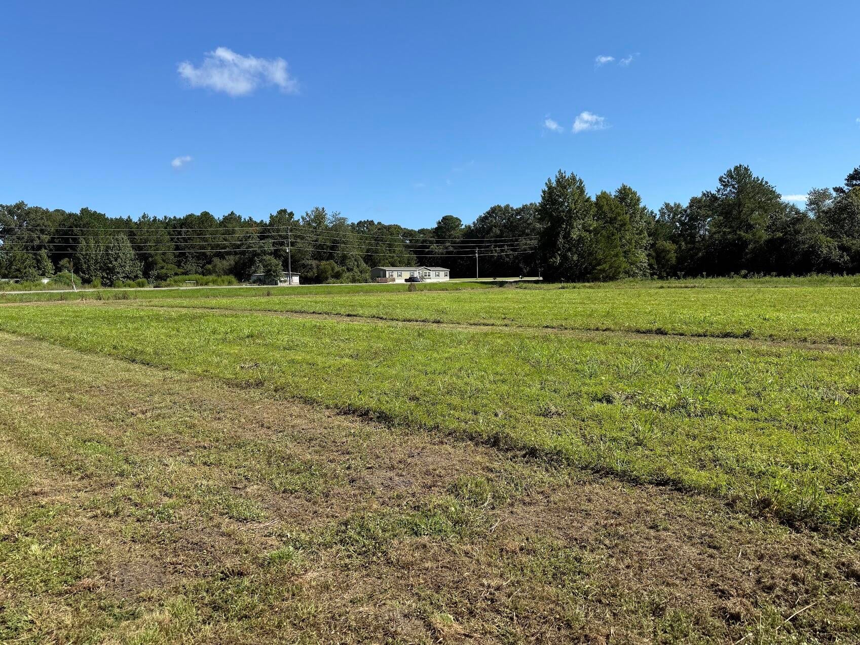 15860 Ace Basin (Lot #1) Parkway