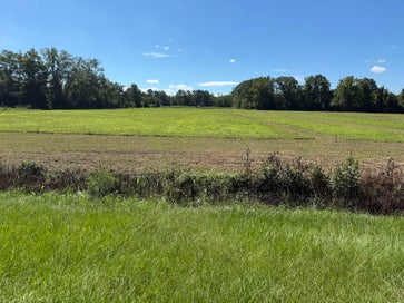 15860 Ace Basin (Lot #1) Parkway Jacksonboro SC 29452