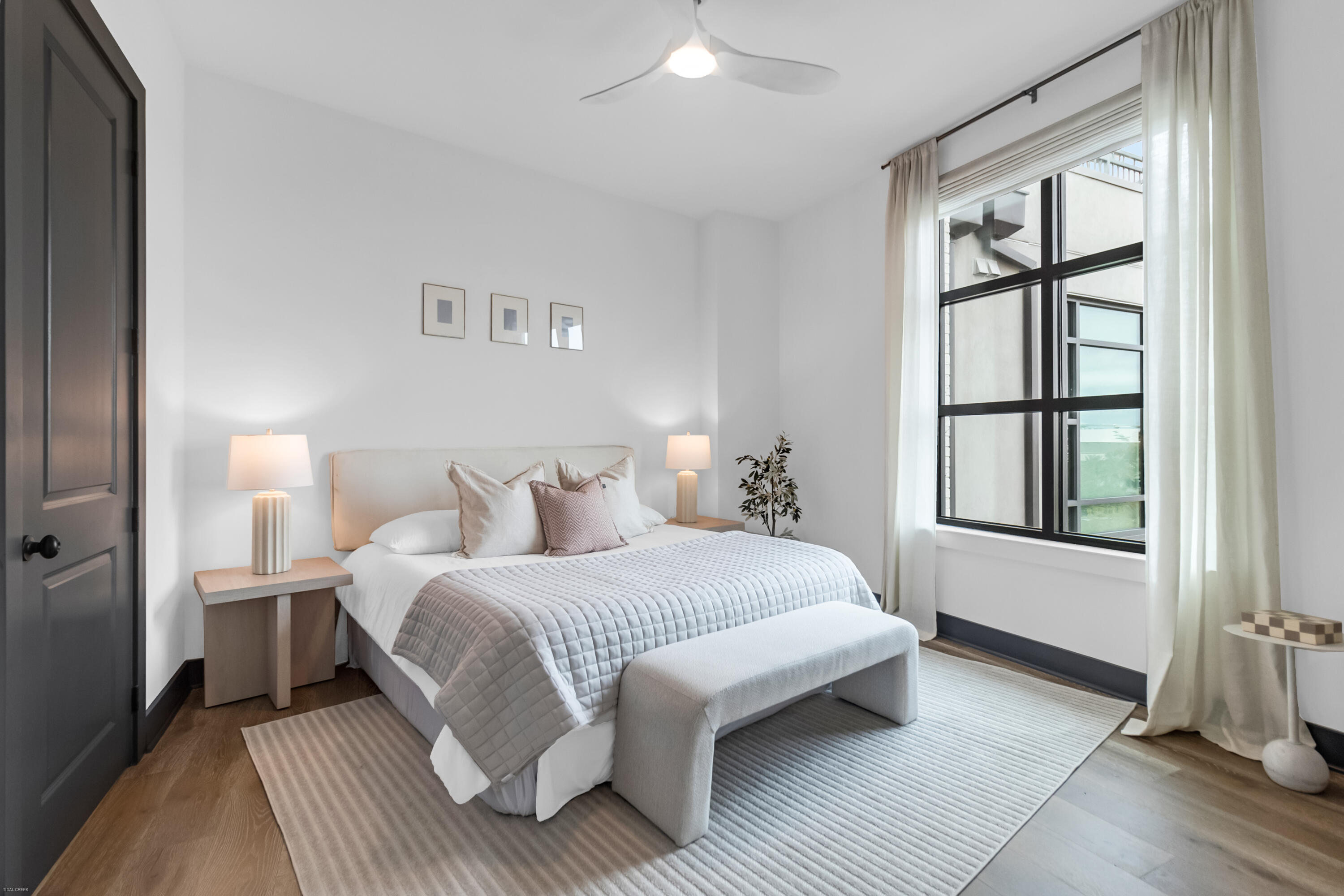 5 Gadsdenboro Street 501