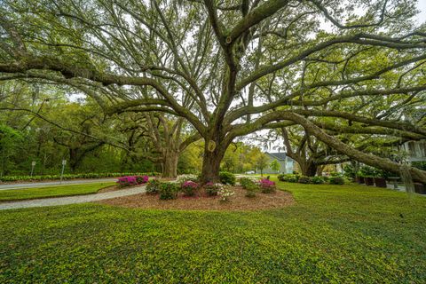 A home in Johns Island