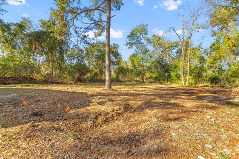 A home in Holly Hill