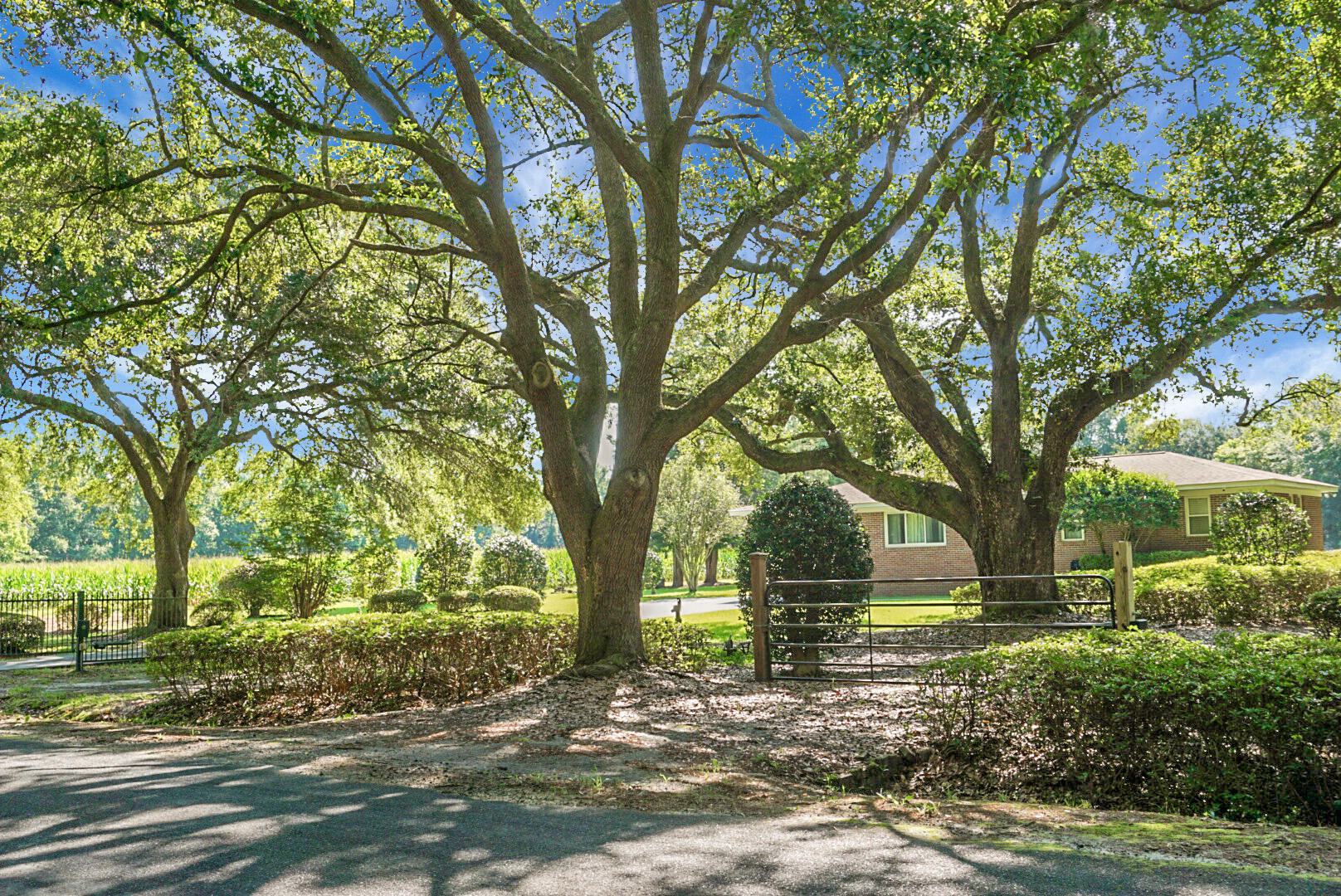 4428 Maple Ridge Road