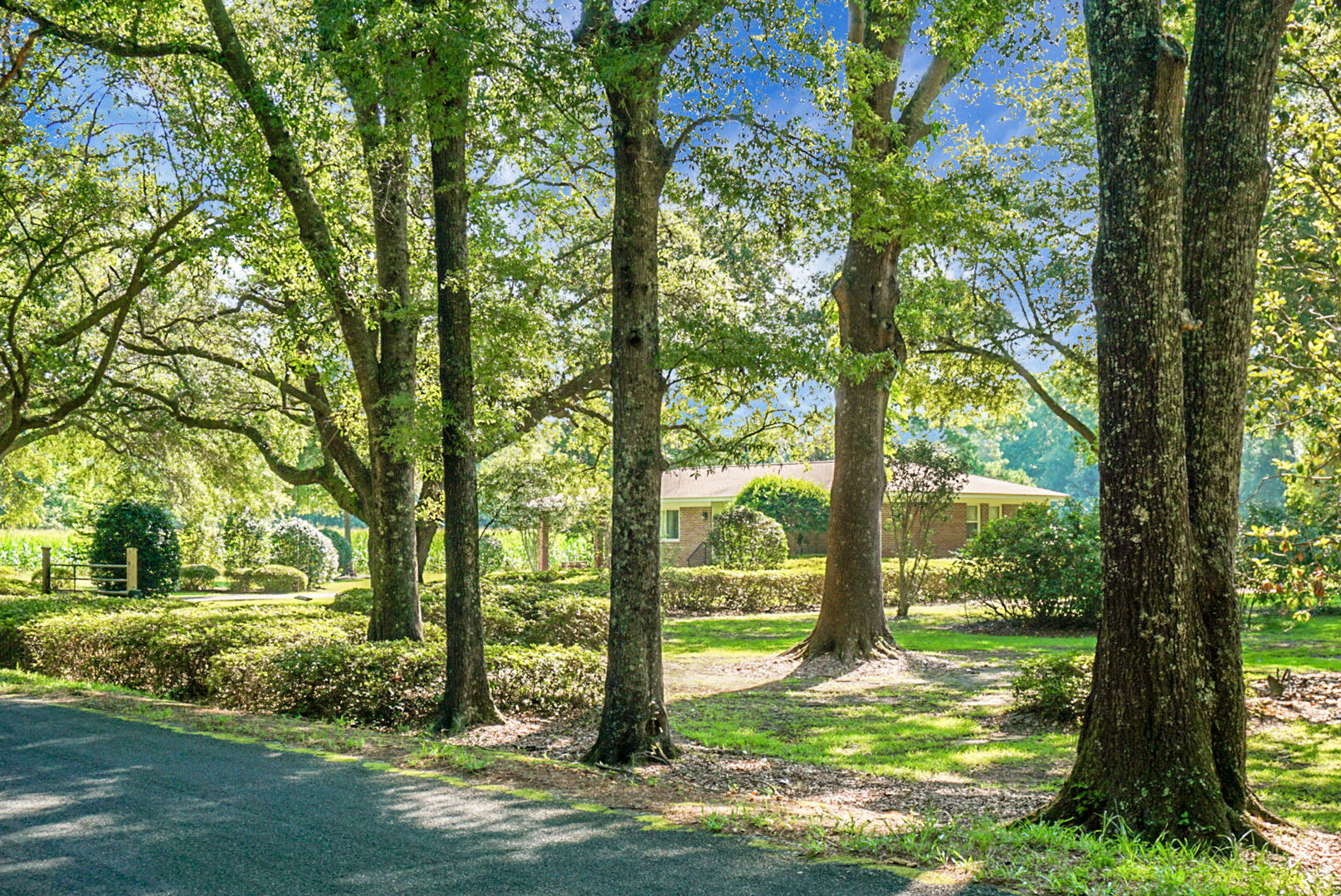 4428 Maple Ridge Road