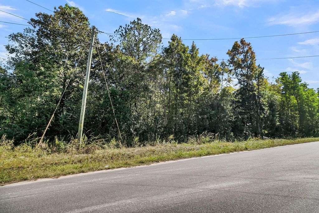 Photo of 135 Jacob Piland Road, Moncks Corner, SC 29461 (MLS # 26012507)