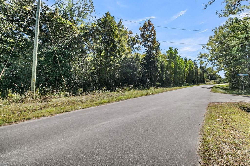 Photo of 135 Jacob Piland Road, Moncks Corner, SC 29461 (MLS # 26012507)