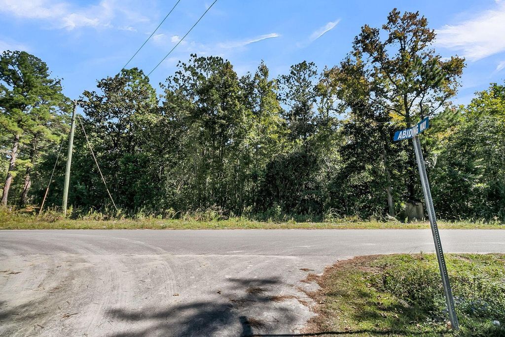 Photo of 135 Jacob Piland Road, Moncks Corner, SC 29461 (MLS # 26012507)
