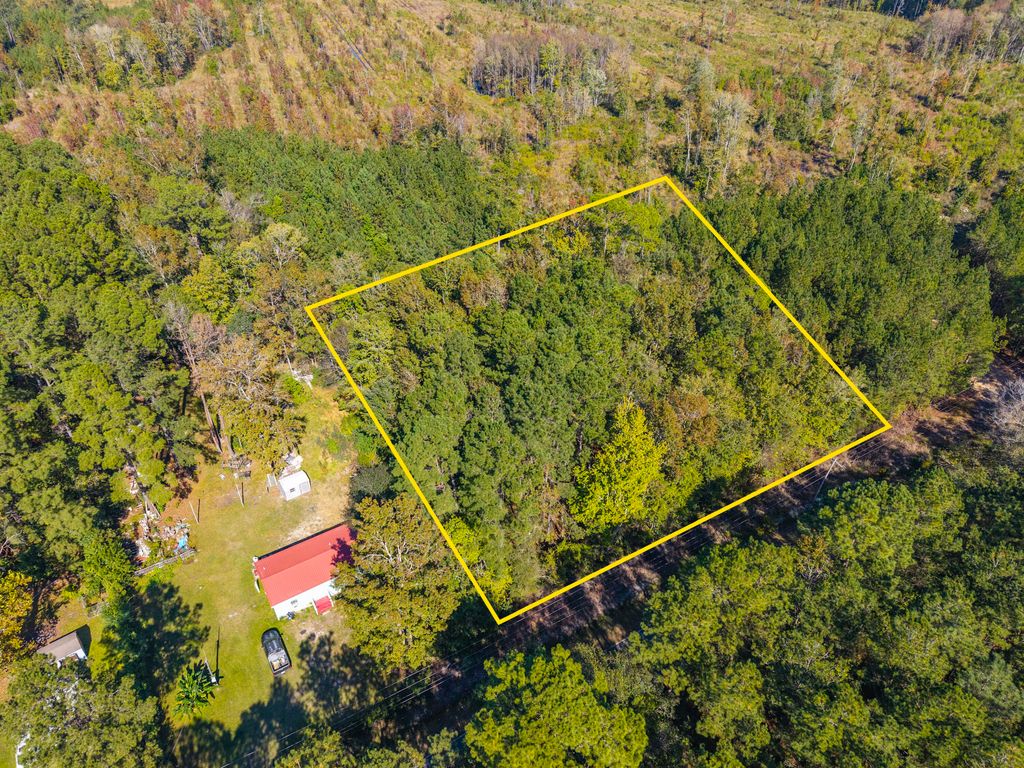 Photo of 905 Peurifoy Road, Walterboro, SC 29488 (MLS # 25028672)