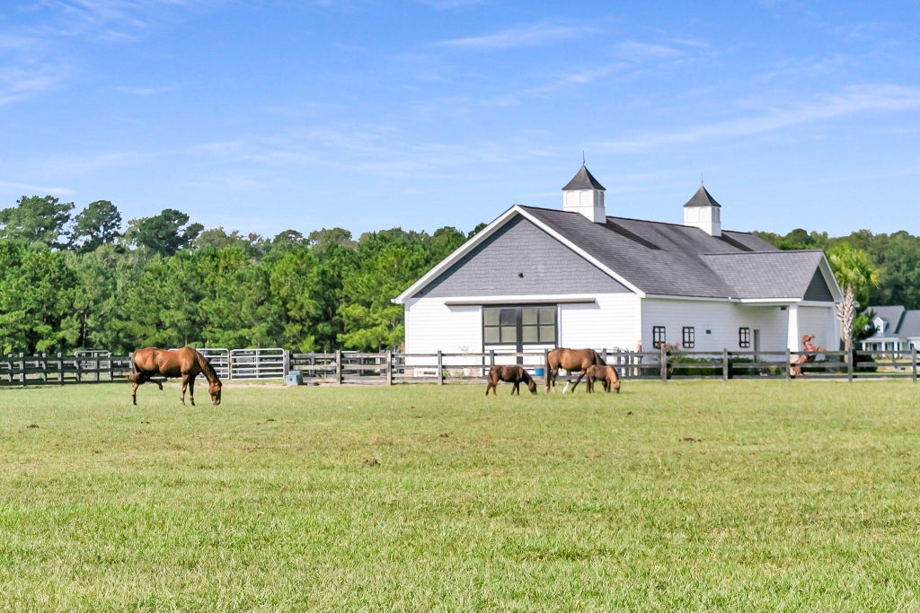 Photo of 17 Leaning Oak Lane, Ravenel, SC 29470 (MLS # 25025127)