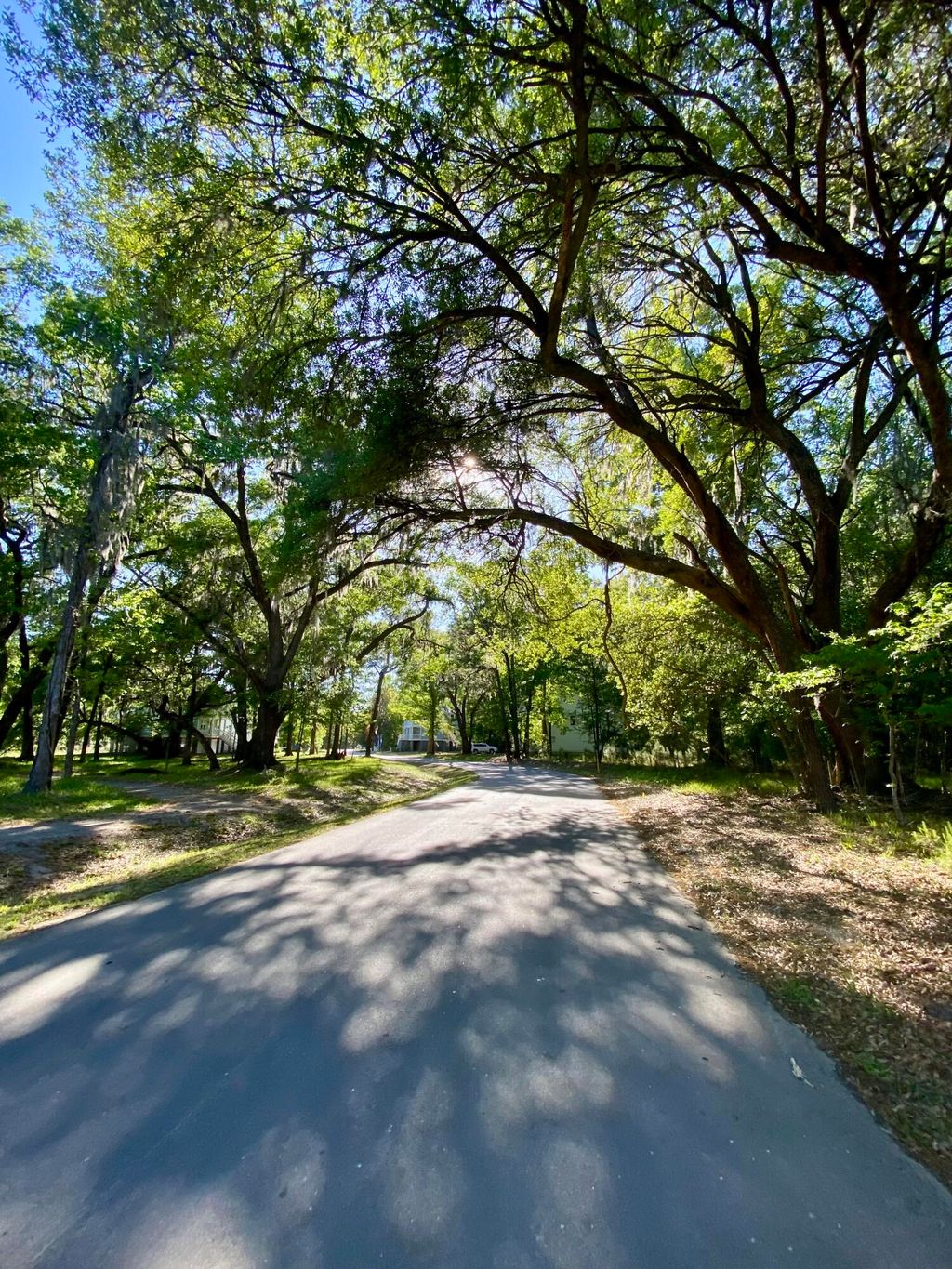 Photo of 3136 Vanessa Lynne Lane, Johns Island, SC 29455 (MLS # 26010375)