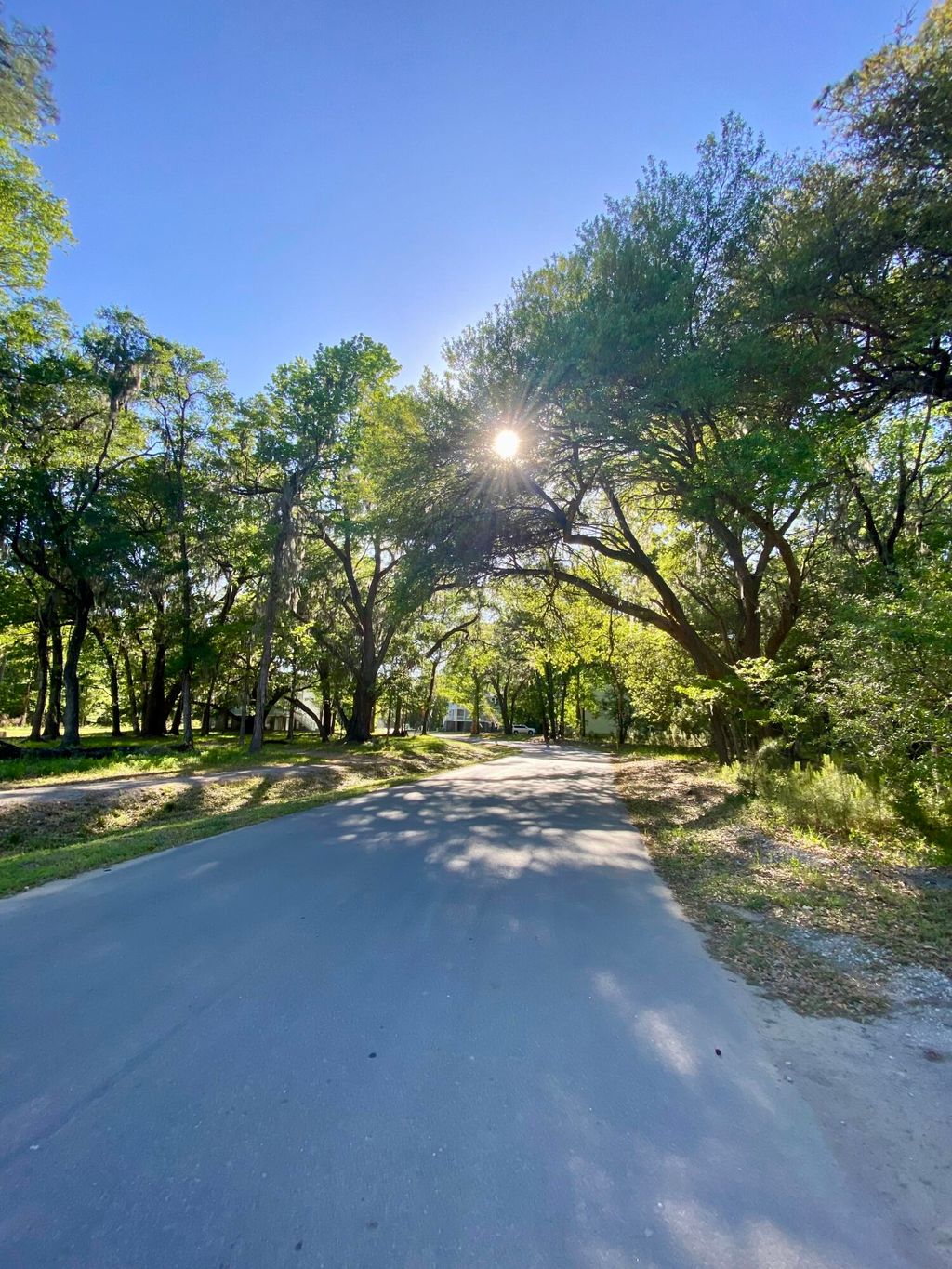 Photo of 3136 Vanessa Lynne Lane, Johns Island, SC 29455 (MLS # 26010375)