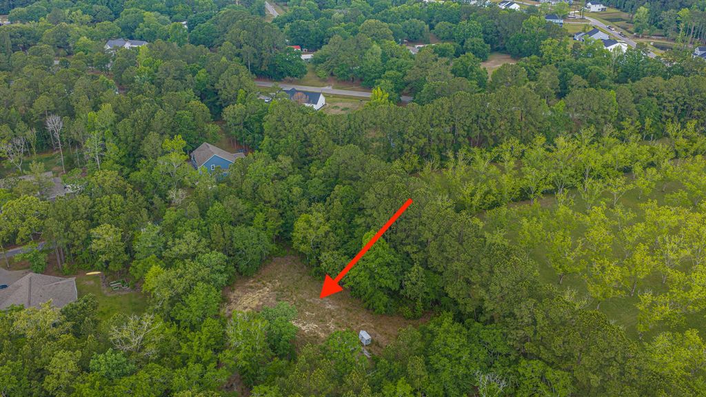 Photo of 1012 Awendaw Lakes Boulevard, Awendaw, SC 29429 (MLS # 26013487)