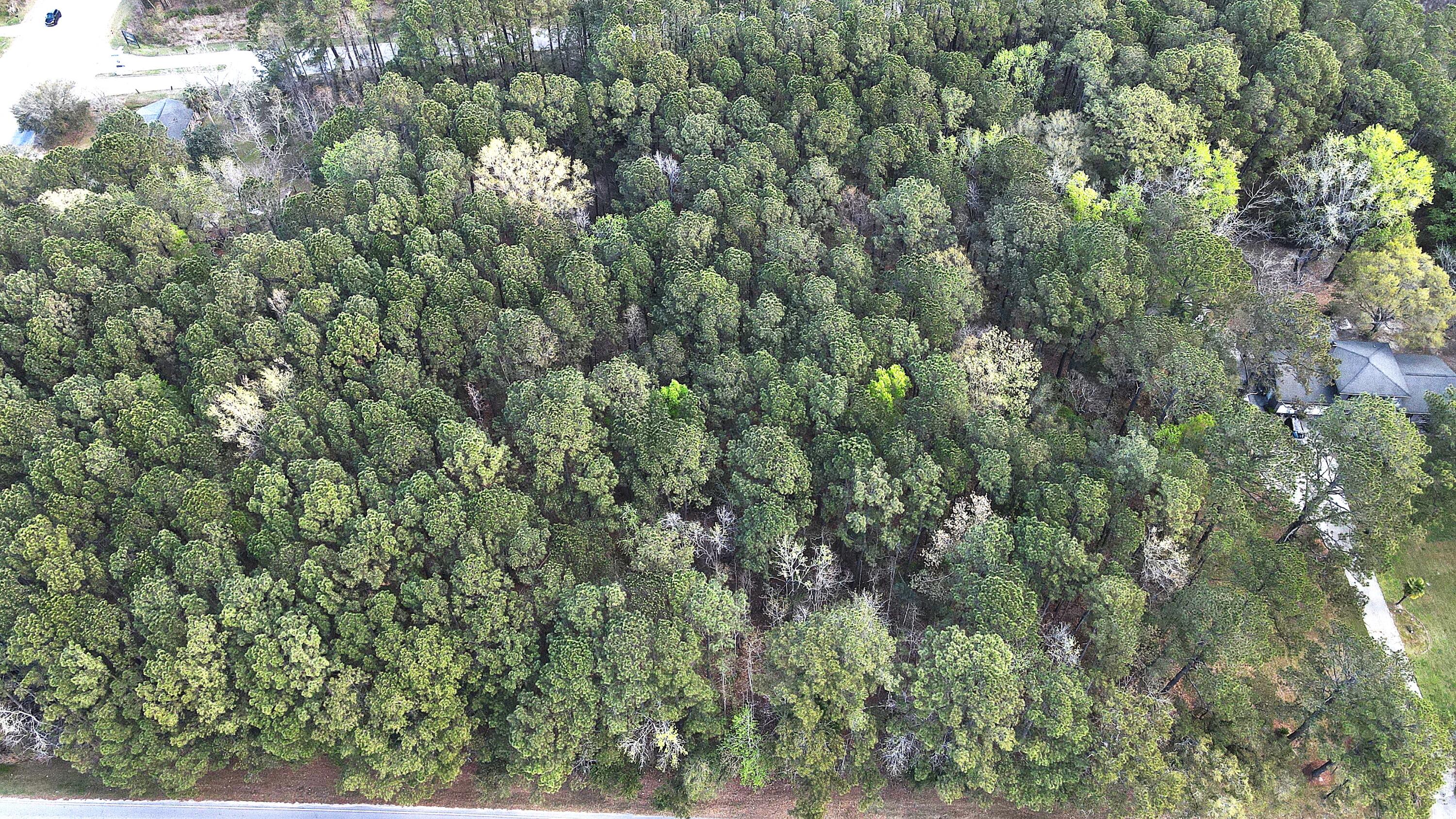 000 Clements Ferry Road