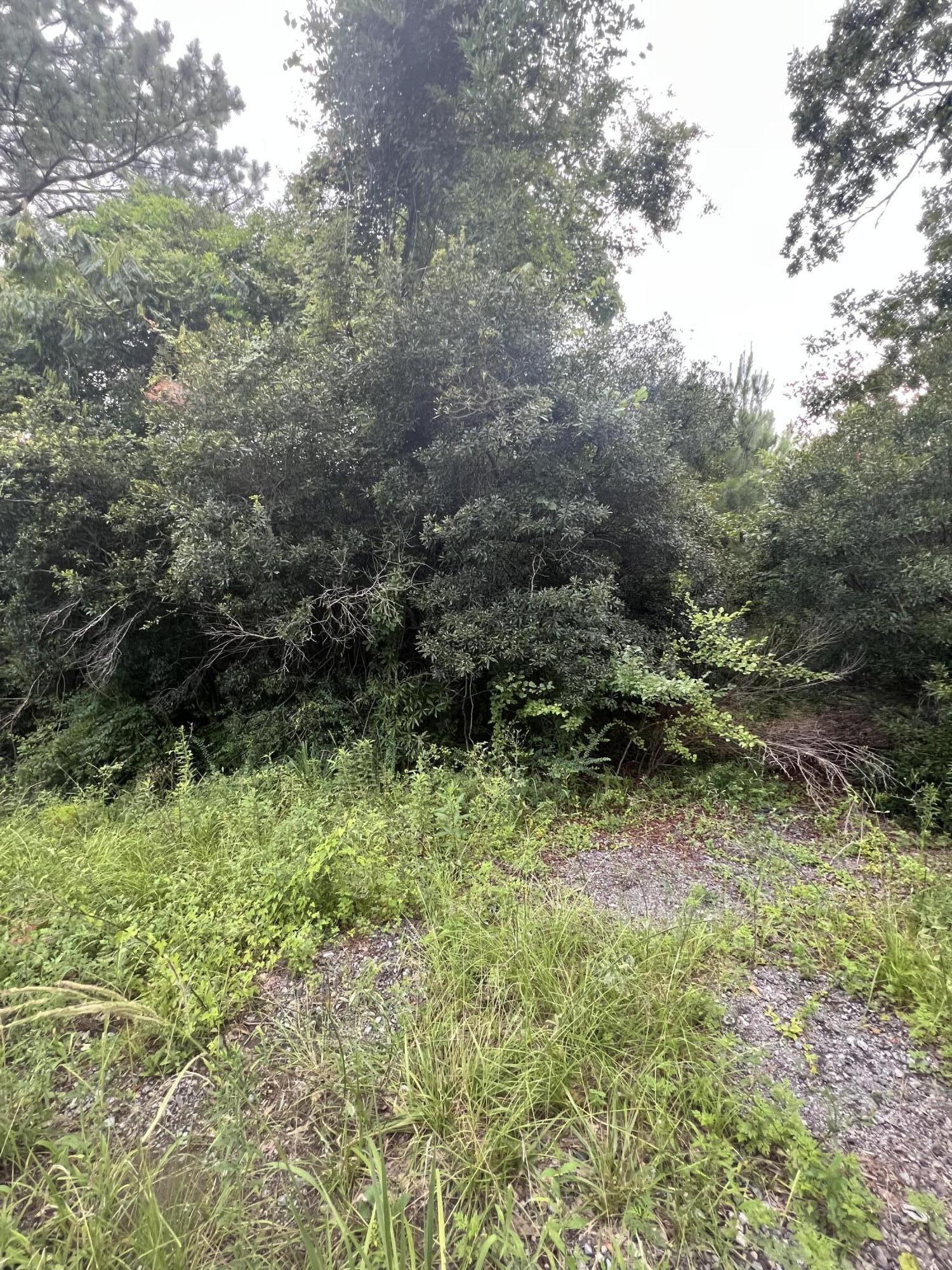 45 Partridge Road