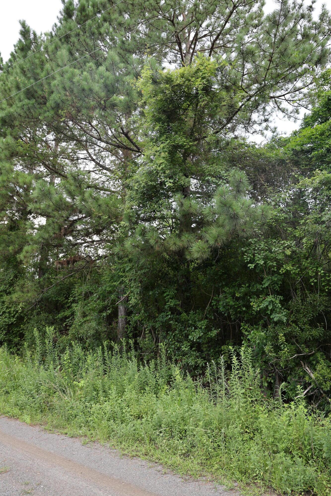 45 Partridge Road