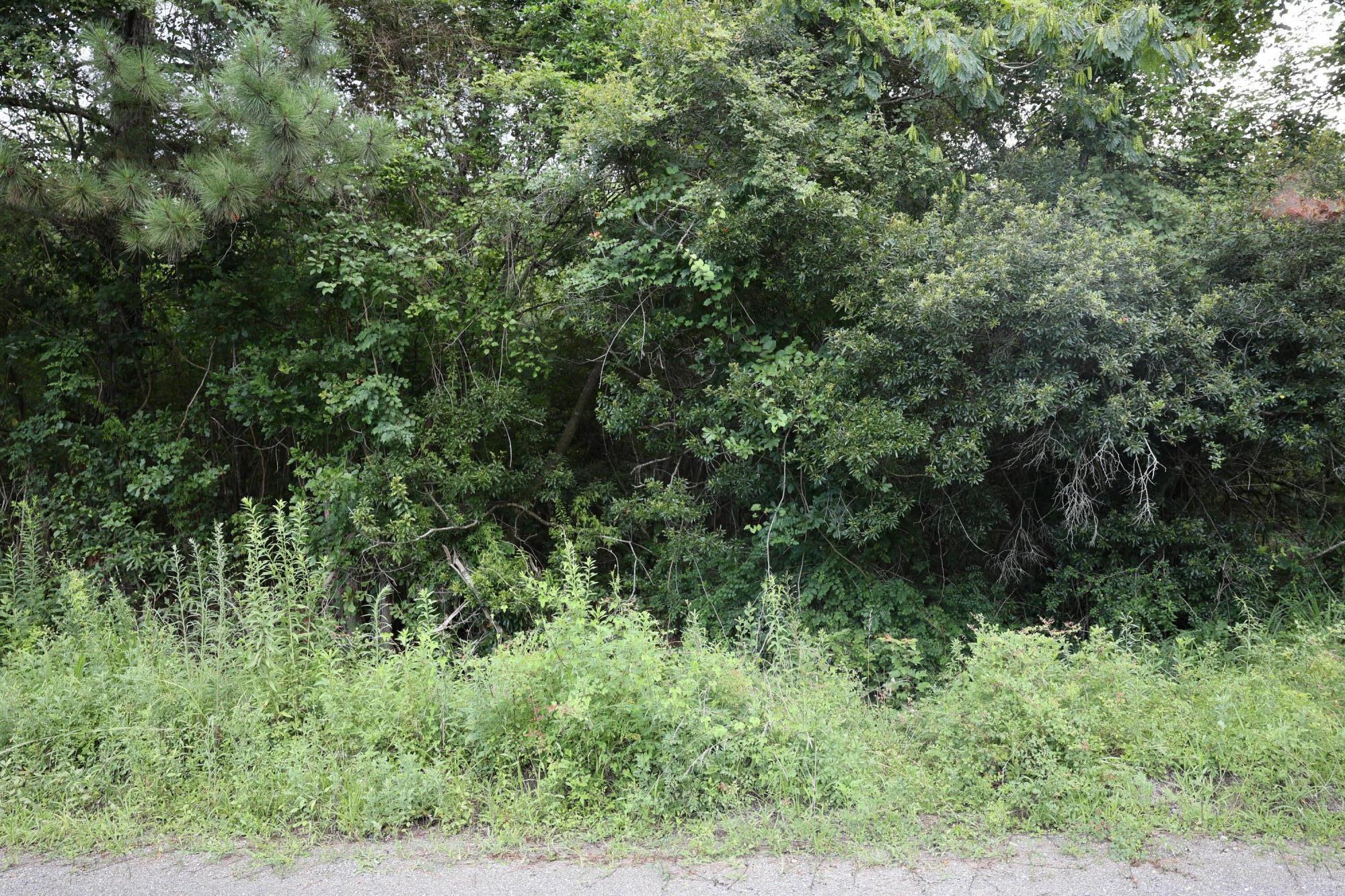 45 Partridge Road