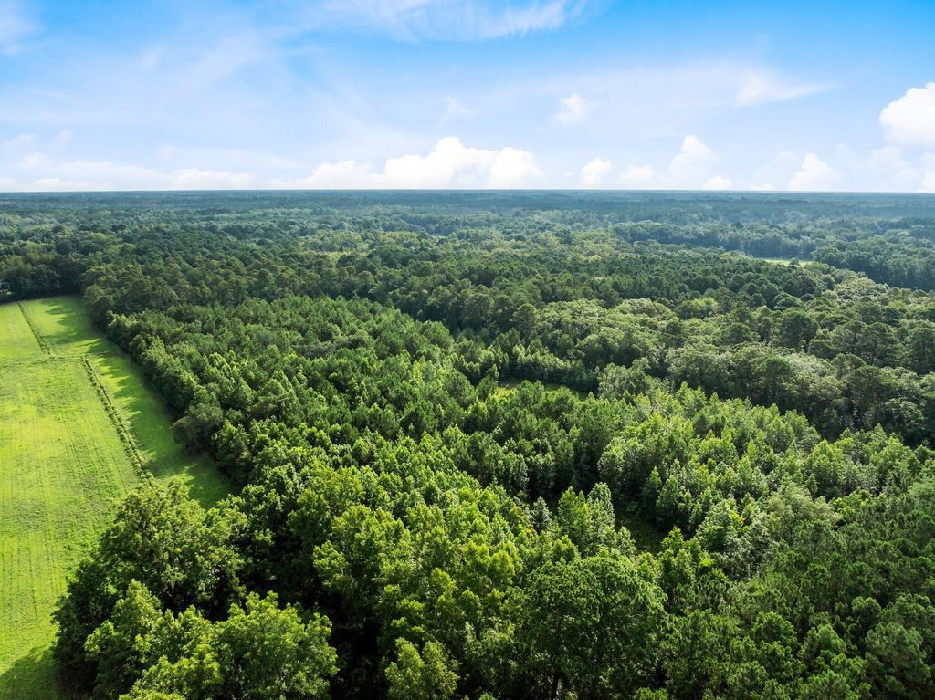 Photo of 0 Oakville Road, Hollywood, SC 29449 (MLS # 25032033)