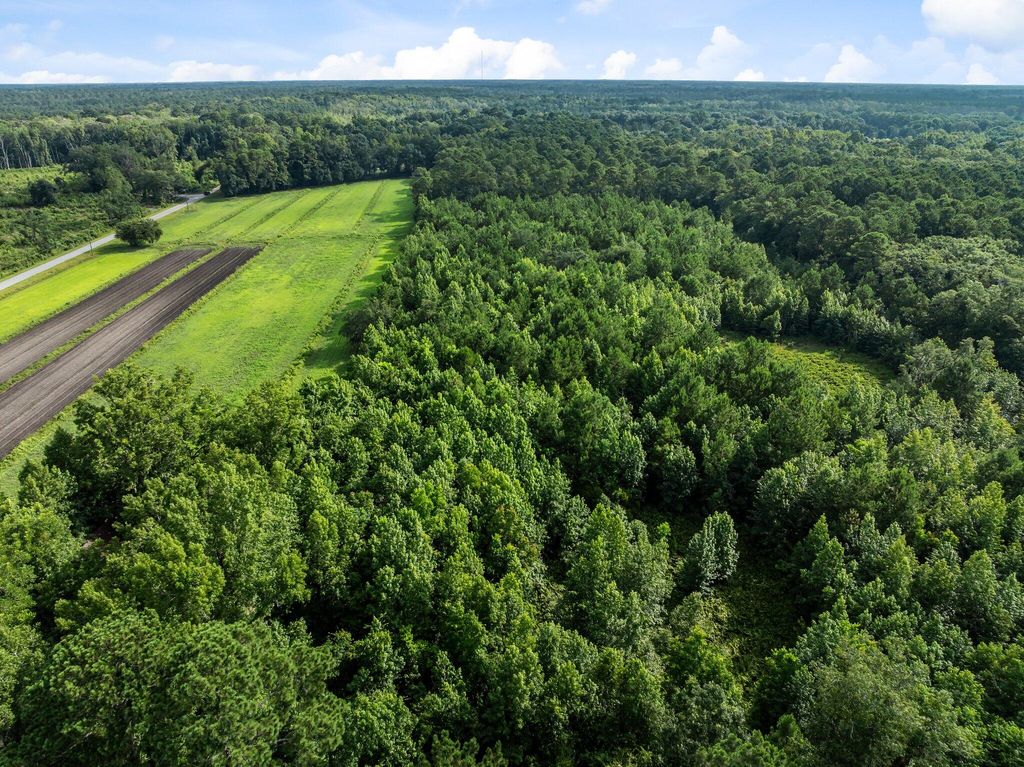 Photo of 0 Oakville Road, Hollywood, SC 29449 (MLS # 25032033)