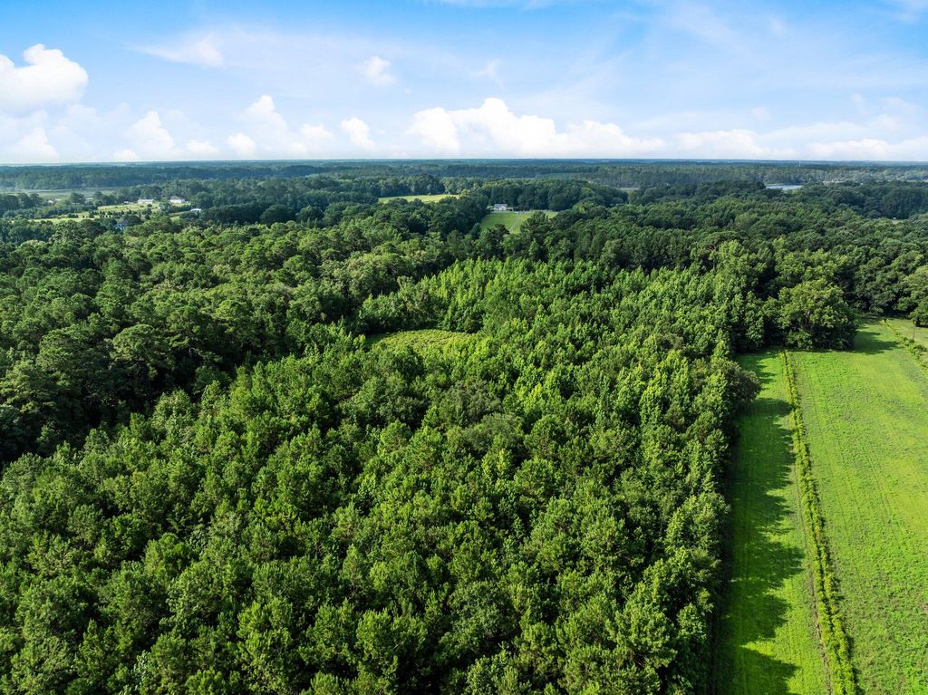 Photo of 0 Oakville Road, Hollywood, SC 29449 (MLS # 25032033)