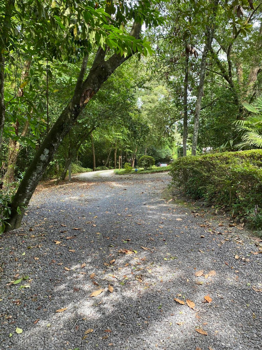 Photo of 523 W Carolina Avenue, Summerville, SC 29483 (MLS # 26003695)