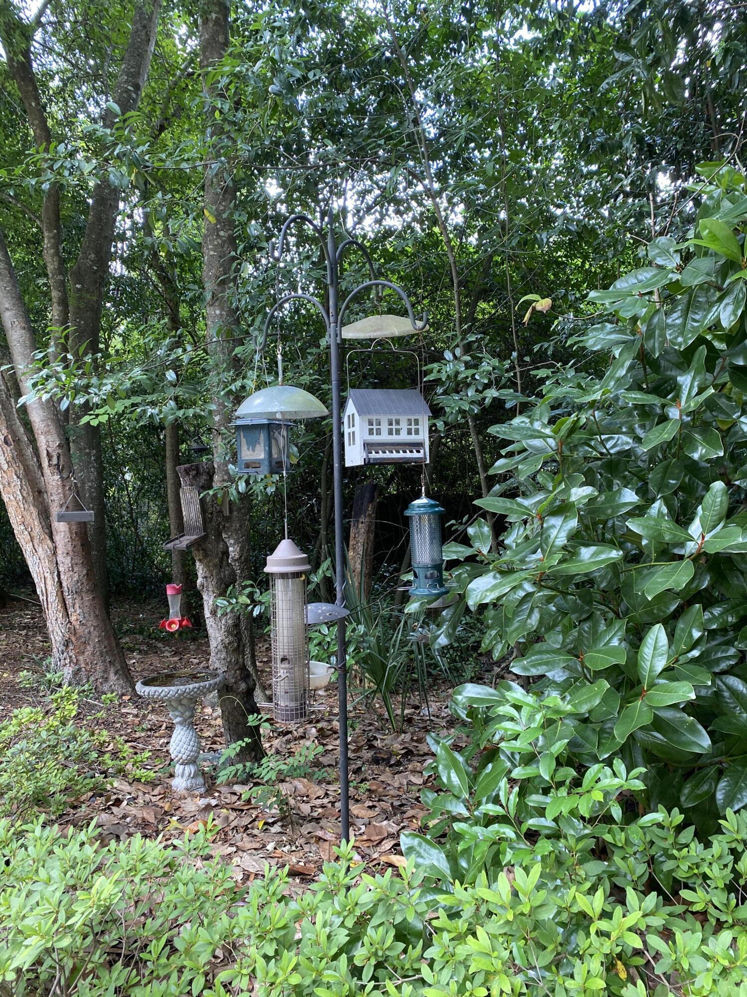 523 W Carolina Avenue