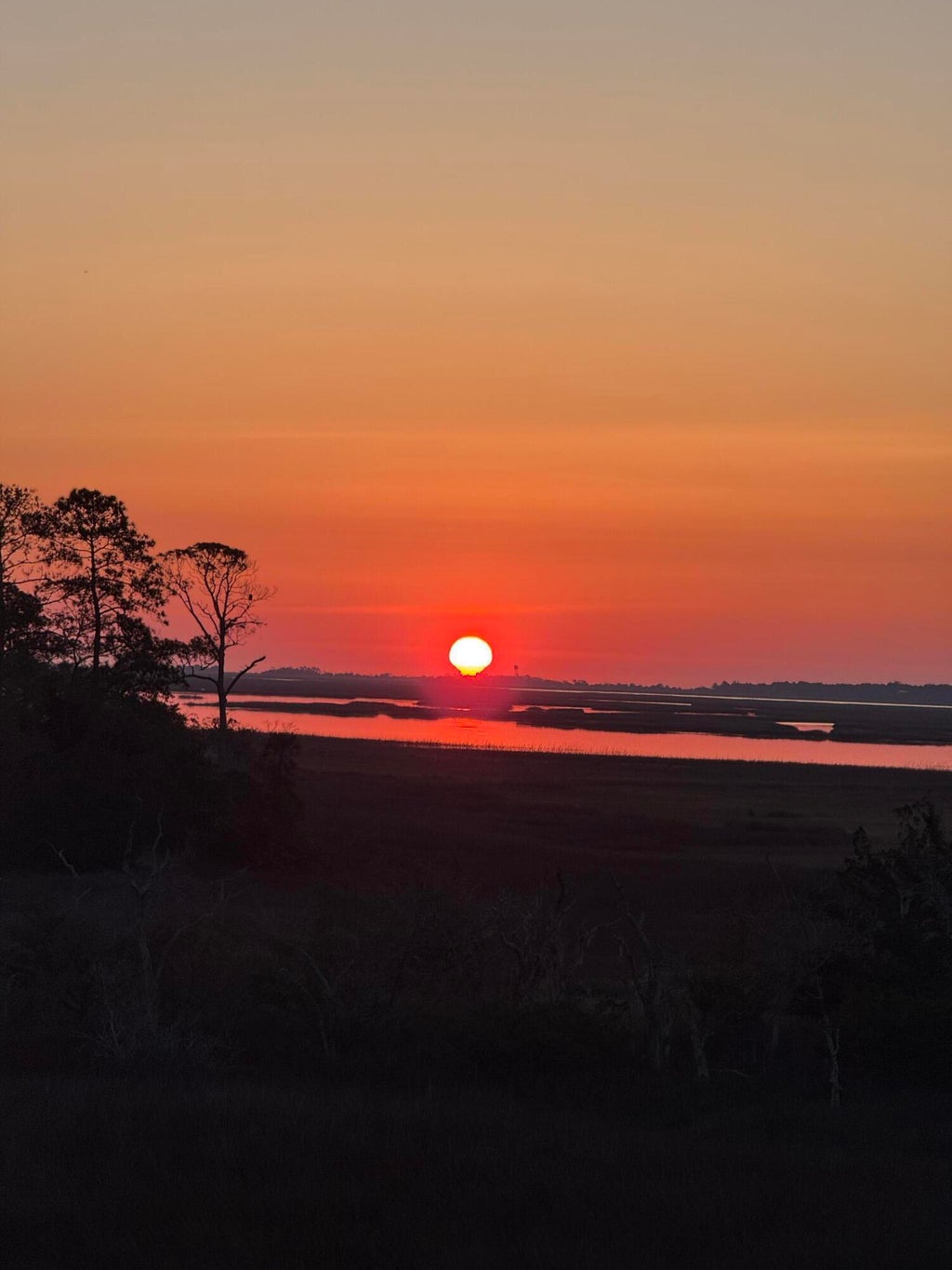 Photo of 2068 Amenity Park Drive, Mount Pleasant, SC 29466 (MLS # 26022984)