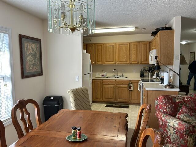1152 Warrens Way