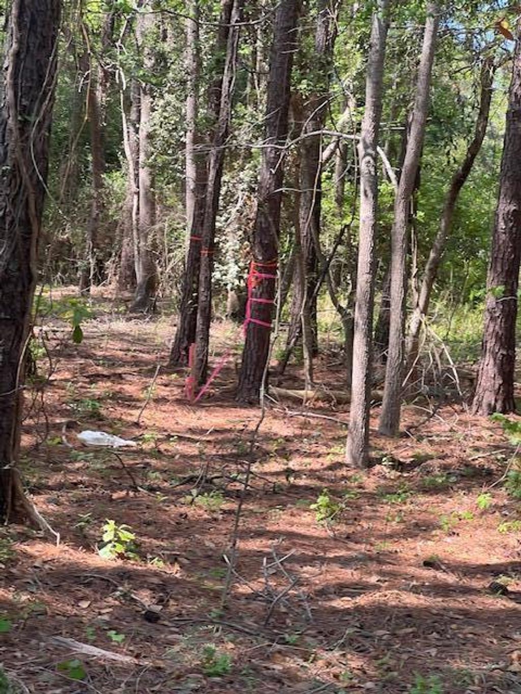 Photo of 0 Lucys Lane, Mount Pleasant, SC 29466 (MLS # 26009076)