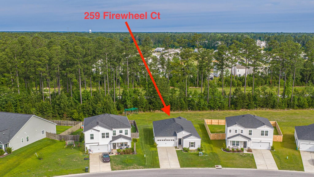 Photo of 259 Firewheel Court, Summerville, SC 29486 (MLS # 26024518)