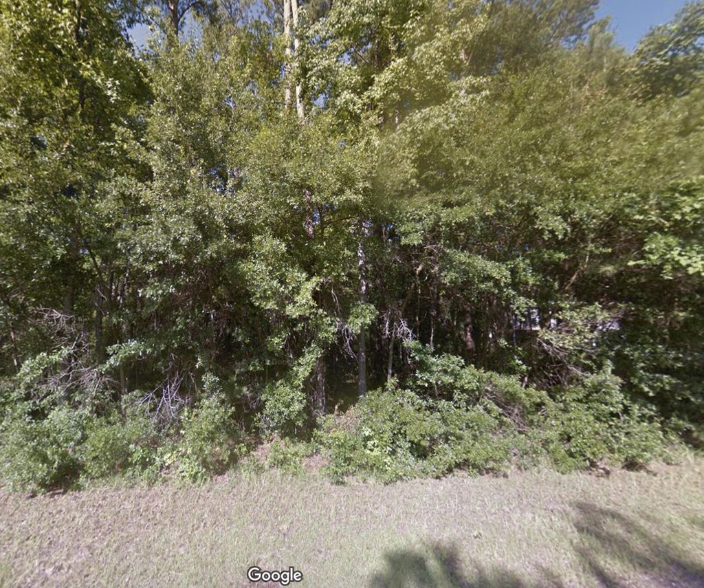 Photo of 890 Flowers Lane, Edisto Island, SC 29438 (MLS # 25003228)