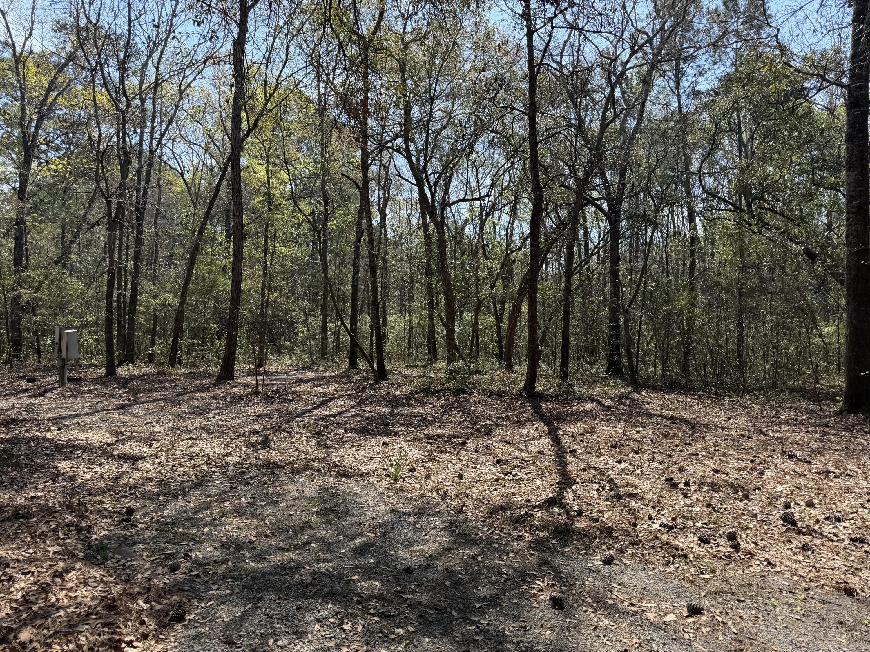 6321 Bears Bluff Road